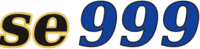 se999 logo
